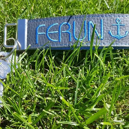 Ferun Daire Penzance